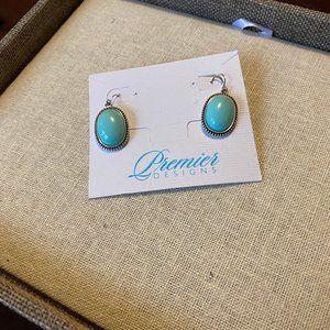 Candy Coated Earrings Premier Designs